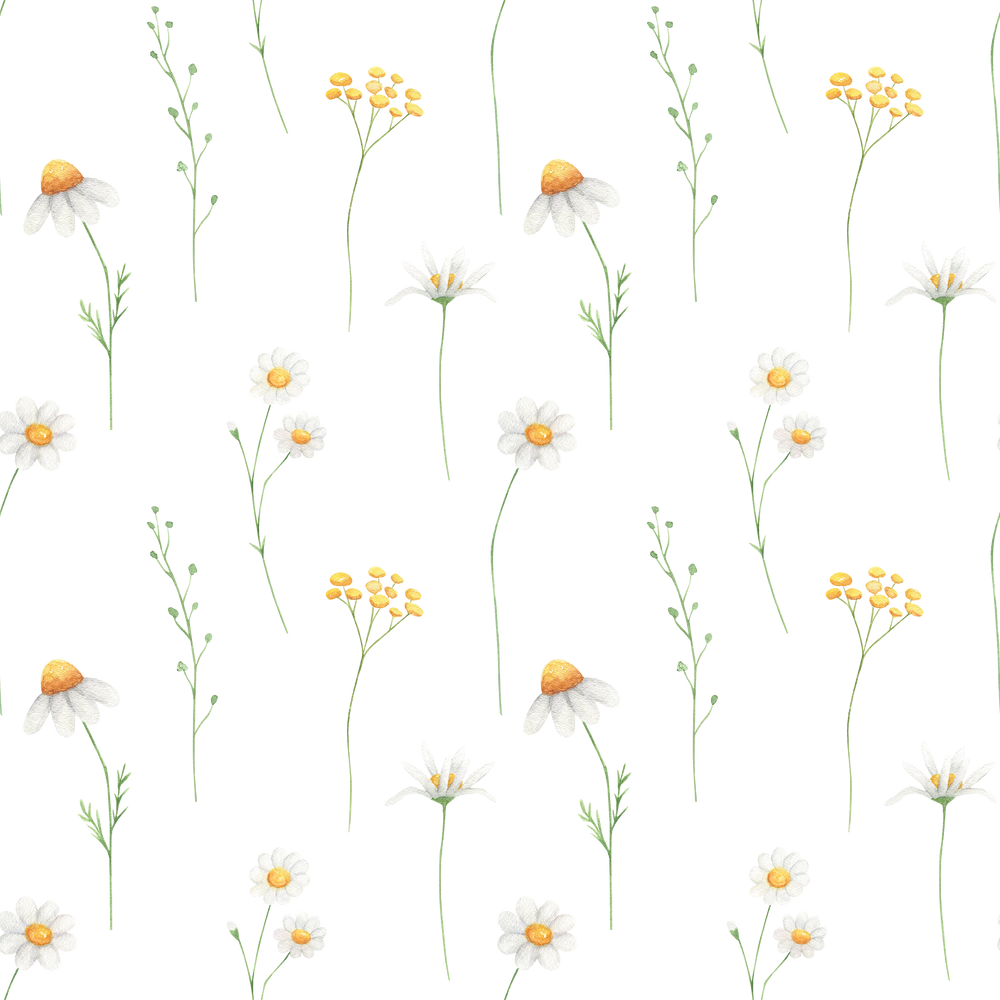 Daisy watercolor wildflower seamless pattern illustration
